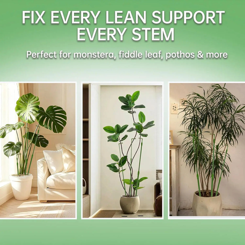 3-Pack Telescopic Plant Stakes with Clips, 16.5-42.5 Inches Adjustable Grow Plant Care & Support for Both Indoors/Outdoors, Aids Climbing Vines, Tomatoes, Orchids (Supports Growth)