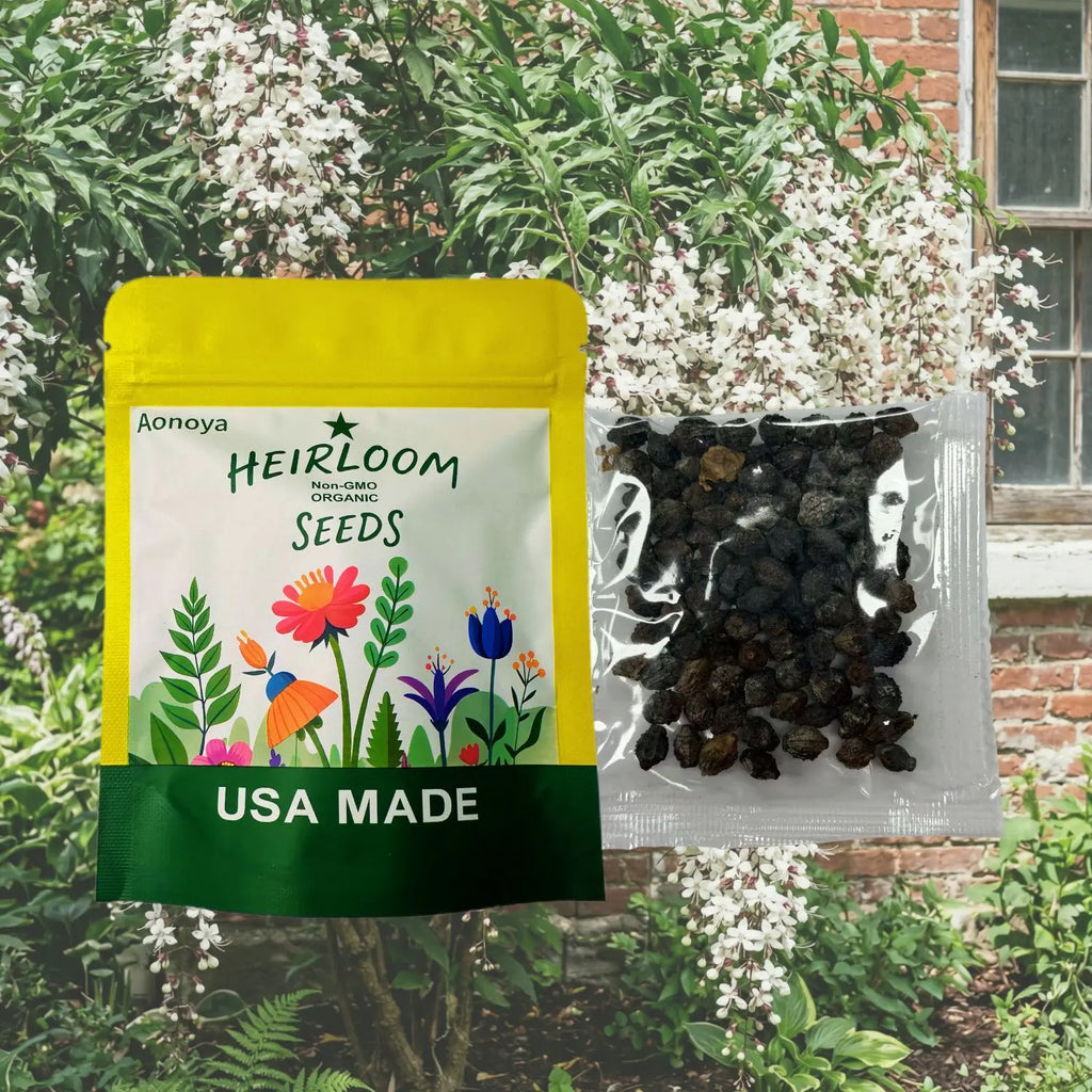【BUY 2 GET 1 FREE】Trailing Jasmine Seeds Bridal Veil High Germination Rate Nodding Clerodendron Easy to Grow Long Lasting Aroma for Home Garden Fragrant Blooms Rare Cascading Jasmine Perfect for Balconies & Indoor Pots