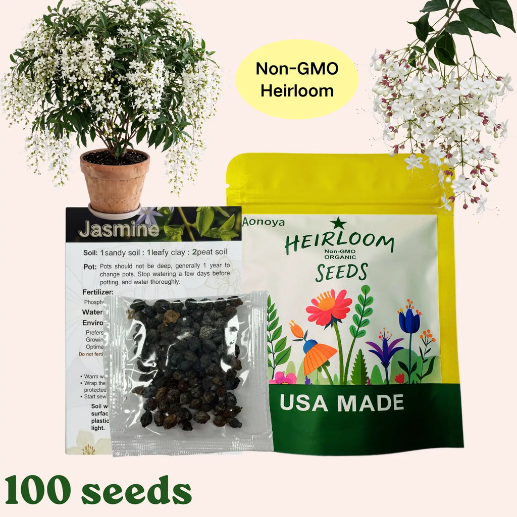 【BUY 2 GET 1 FREE】Trailing Jasmine Seeds Bridal Veil High Germination Rate Nodding Clerodendron Easy to Grow Long Lasting Aroma for Home Garden Fragrant Blooms Rare Cascading Jasmine Perfect for Balconies & Indoor Pots