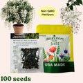 【BUY 2 GET 1 FREE】Trailing Jasmine Seeds Bridal Veil High Germination Rate Nodding Clerodendron Easy to Grow Long Lasting Aroma for Home Garden Fragrant Blooms Rare Cascading Jasmine Perfect for Balconies & Indoor Pots